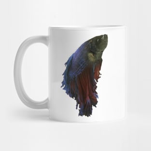 Betta fish Mug